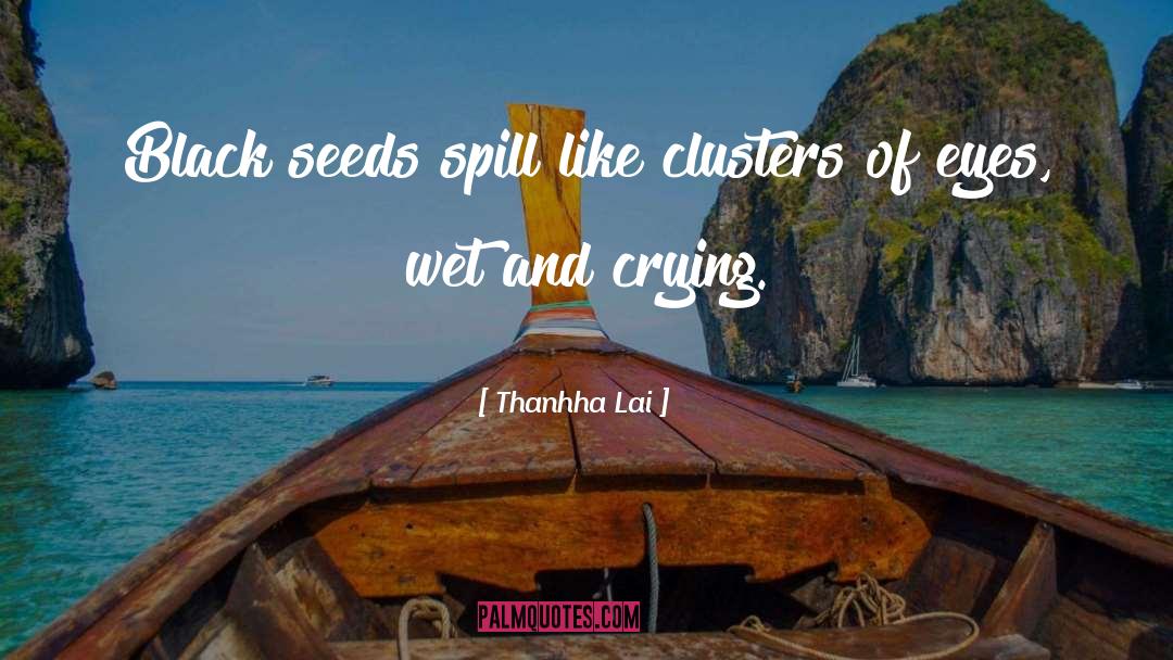 Clusters quotes by Thanhha Lai