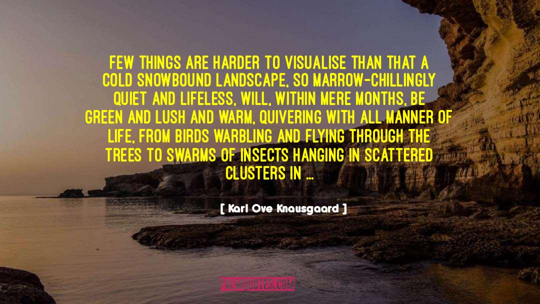 Clusters quotes by Karl Ove Knausgaard