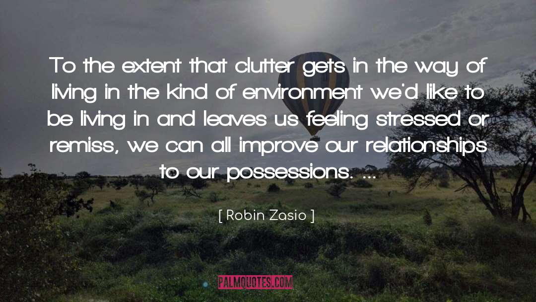 Clutter quotes by Robin Zasio