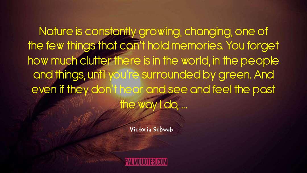 Clutter quotes by Victoria Schwab