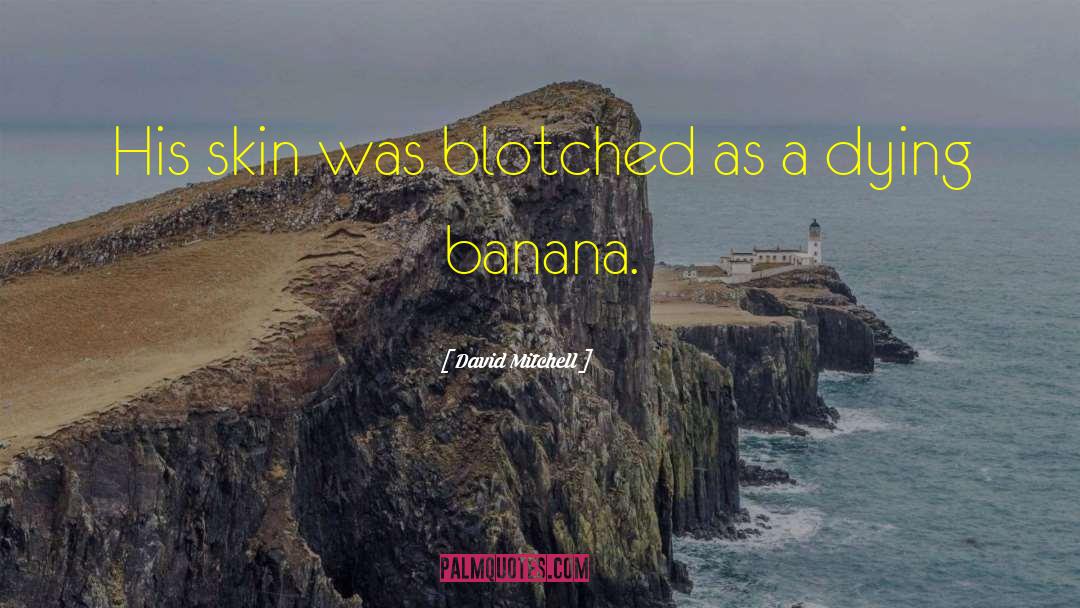 Cmere Banana quotes by David Mitchell