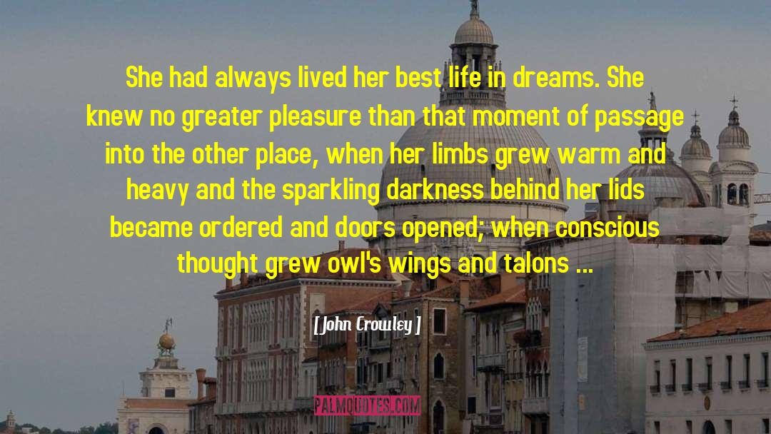 Co Consciousness quotes by John Crowley