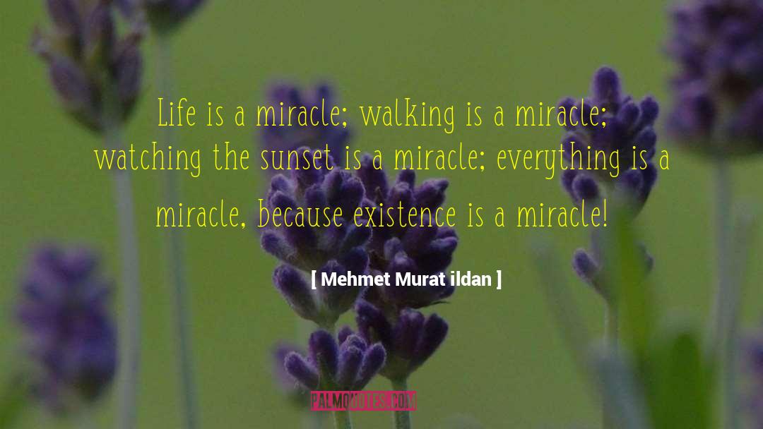 Co Existence quotes by Mehmet Murat Ildan