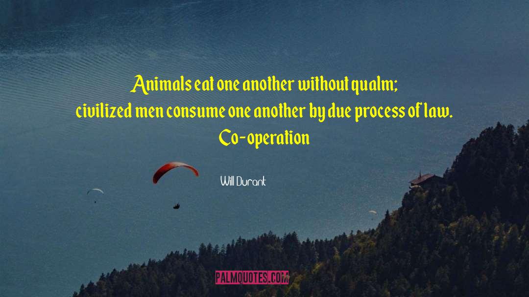 Co Operation quotes by Will Durant