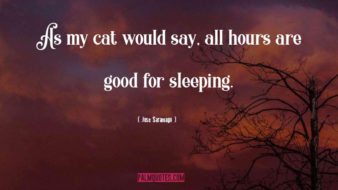 Co Sleeping quotes by Jose Saramago