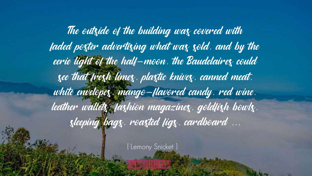 Co Sleeping quotes by Lemony Snicket