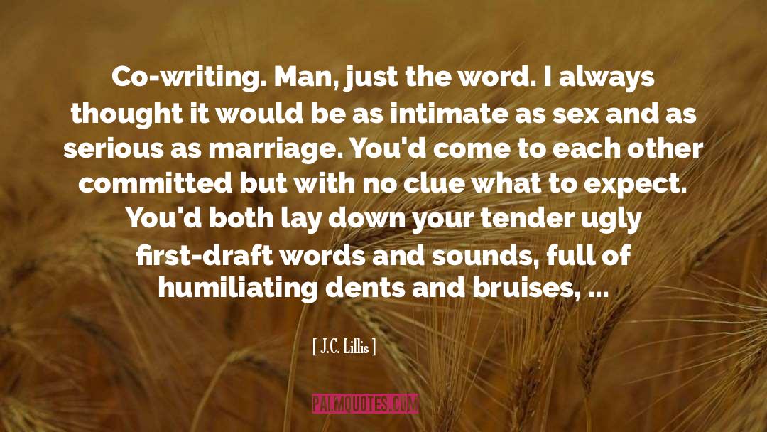 Co Writing quotes by J.C. Lillis