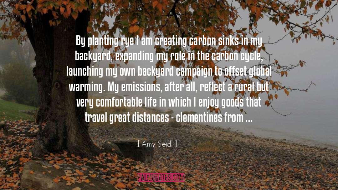Co2 Emissions quotes by Amy Seidl