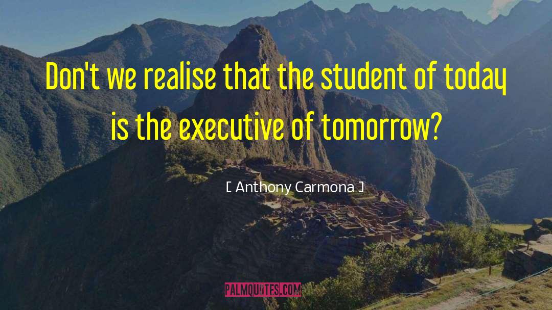 Coaching Executive quotes by Anthony Carmona