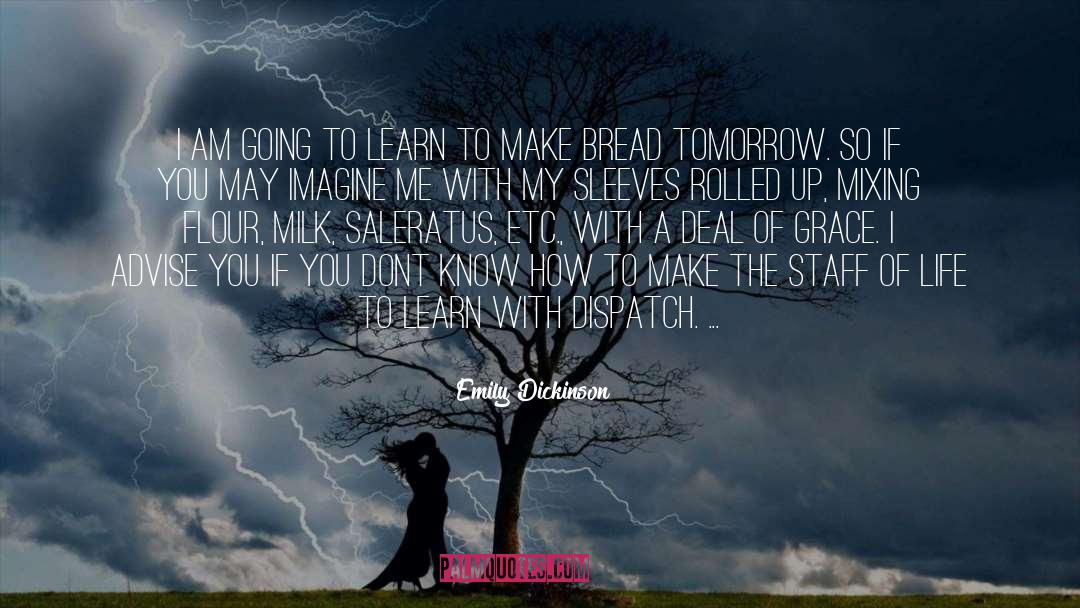 Coaching Staff quotes by Emily Dickinson