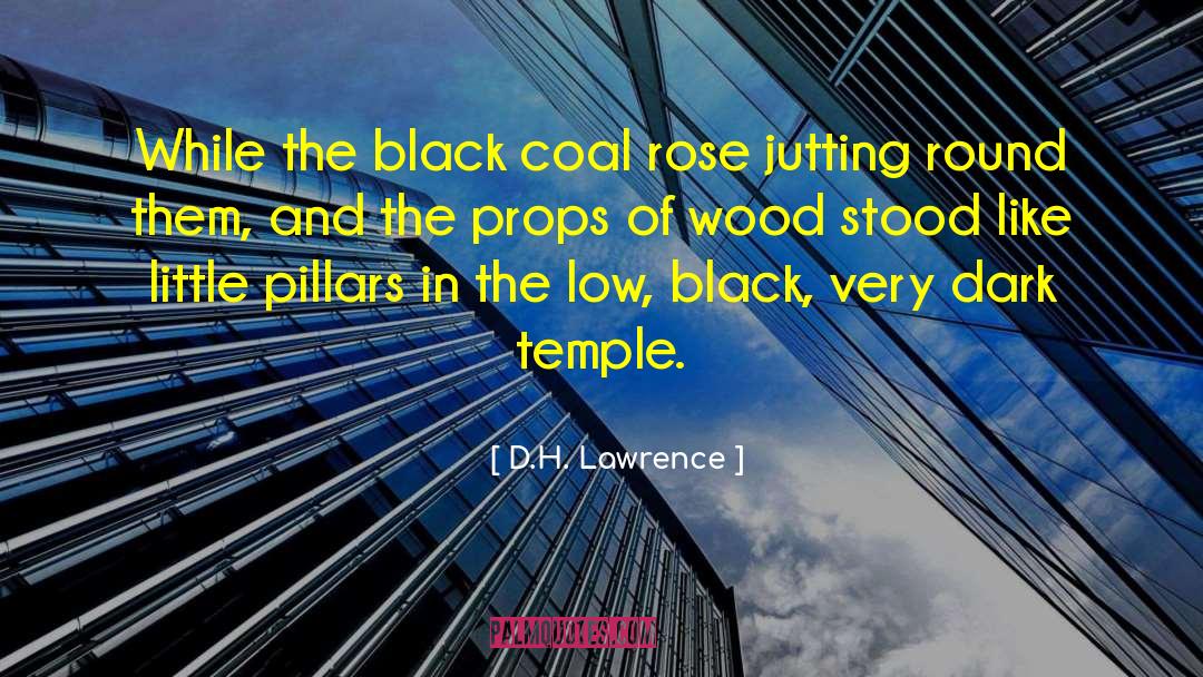 Coal Mine quotes by D.H. Lawrence