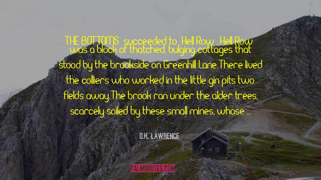 Coal Miners quotes by D.H. Lawrence