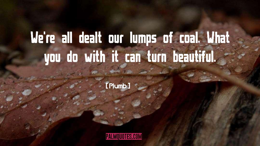 Coal quotes by Plumb