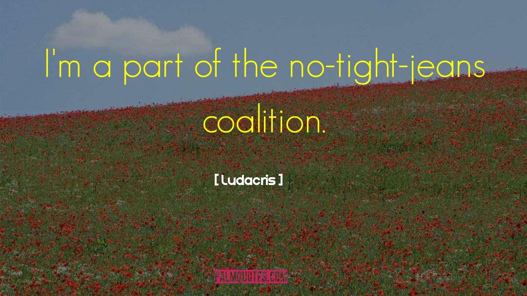 Coalitions quotes by Ludacris