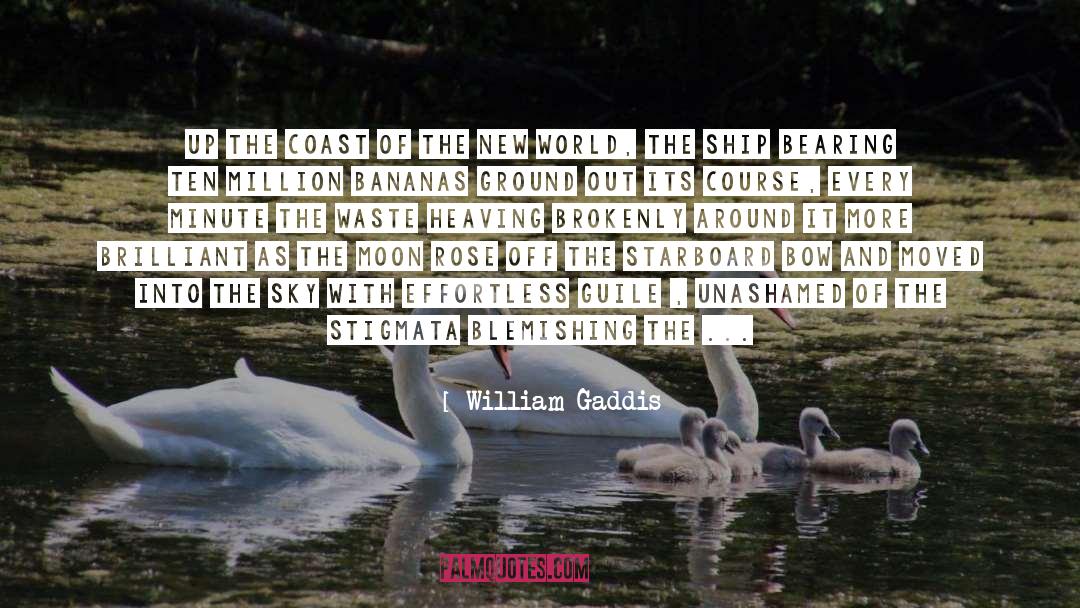 Coast quotes by William Gaddis