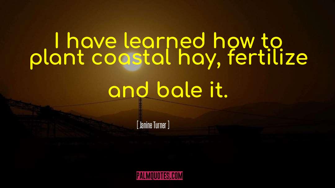 Coastal quotes by Janine Turner