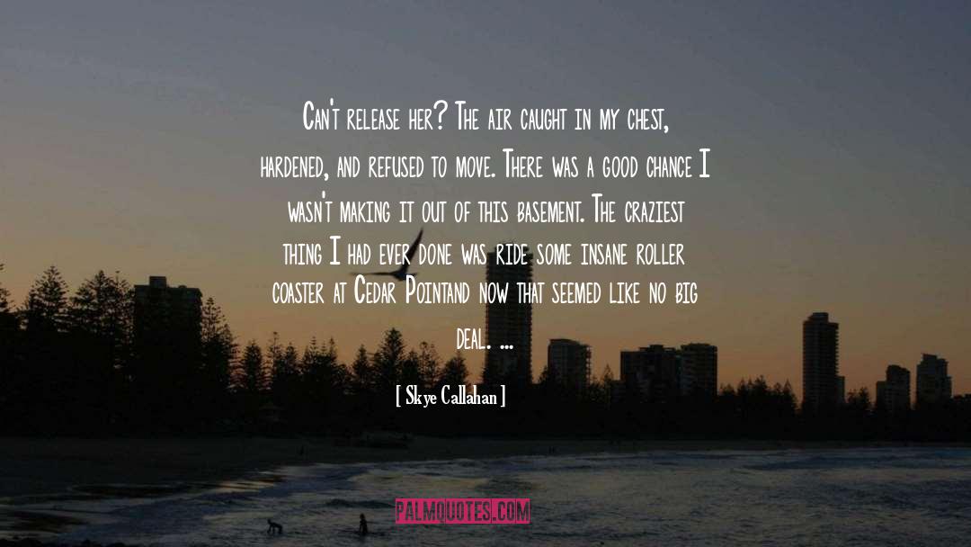 Coaster quotes by Skye Callahan