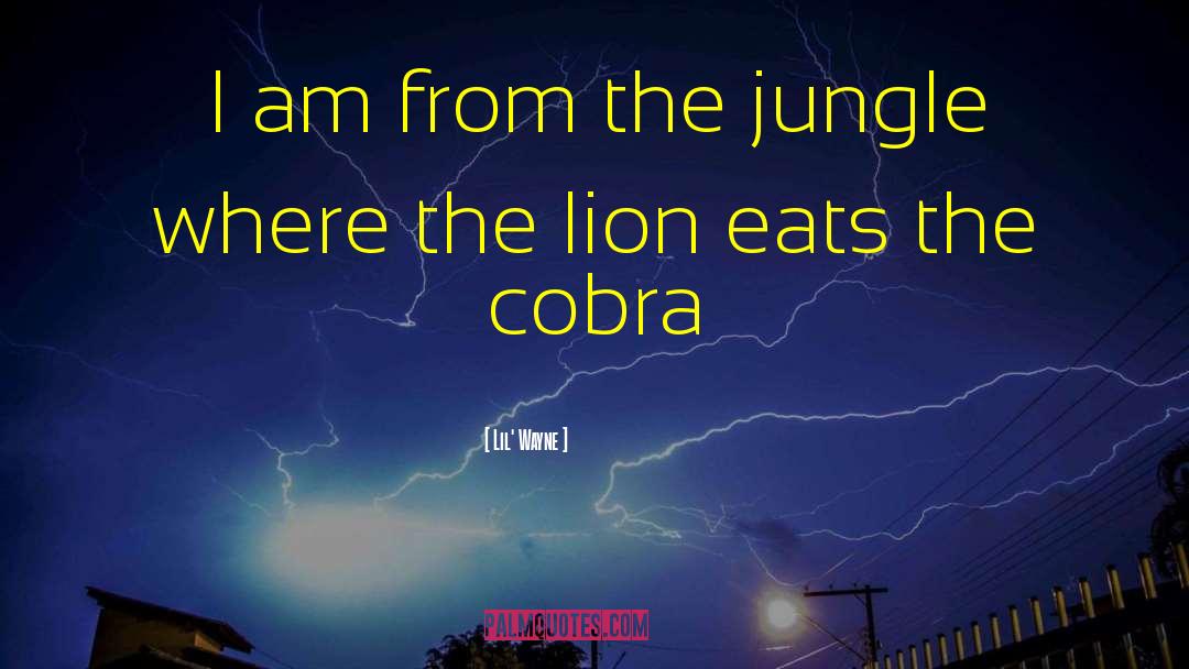 Cobras quotes by Lil' Wayne