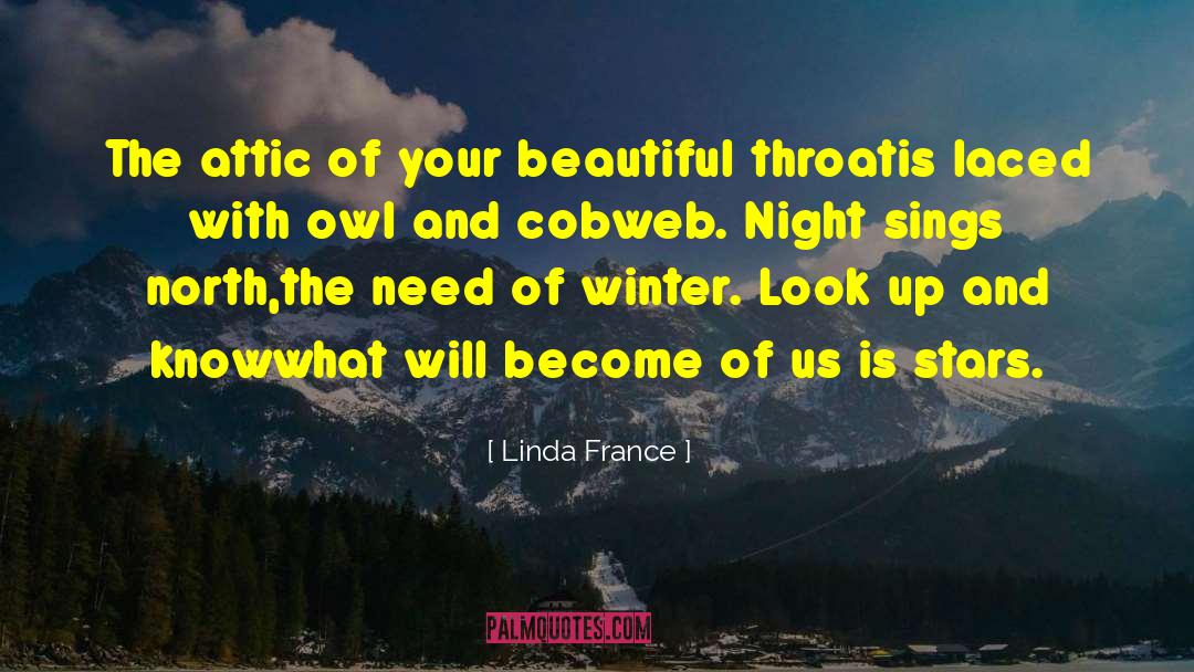 Cobweb quotes by Linda France