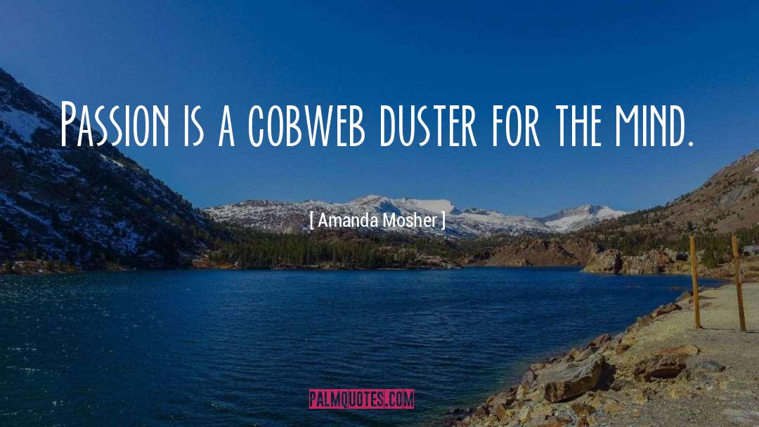 Cobweb quotes by Amanda Mosher