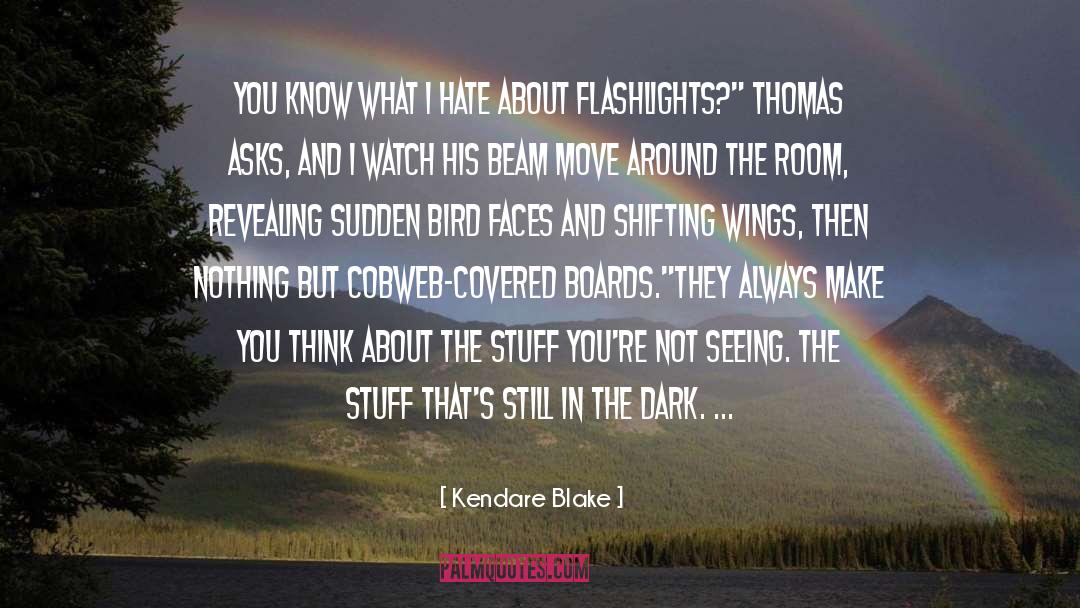 Cobweb quotes by Kendare Blake