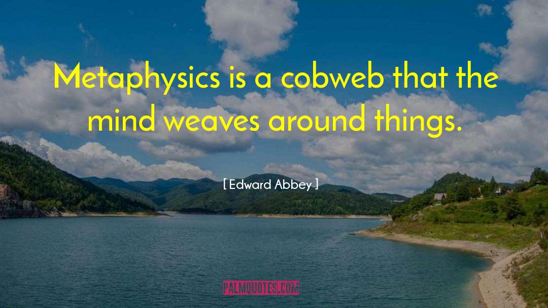 Cobwebs quotes by Edward Abbey