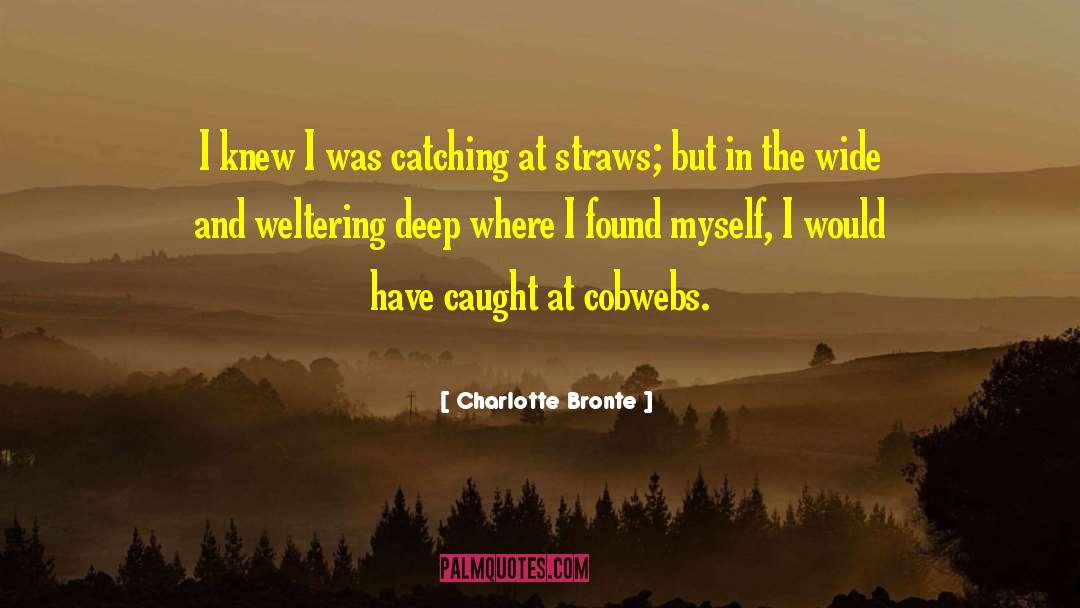 Cobwebs quotes by Charlotte Bronte