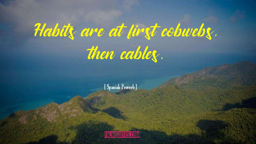 Cobwebs quotes by Spanish Proverb