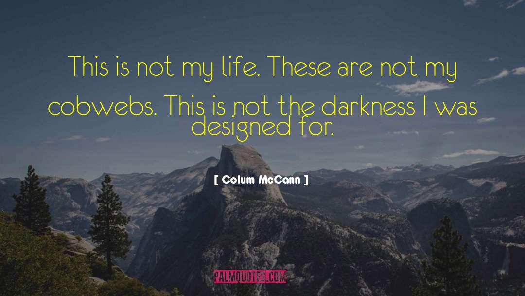 Cobwebs quotes by Colum McCann
