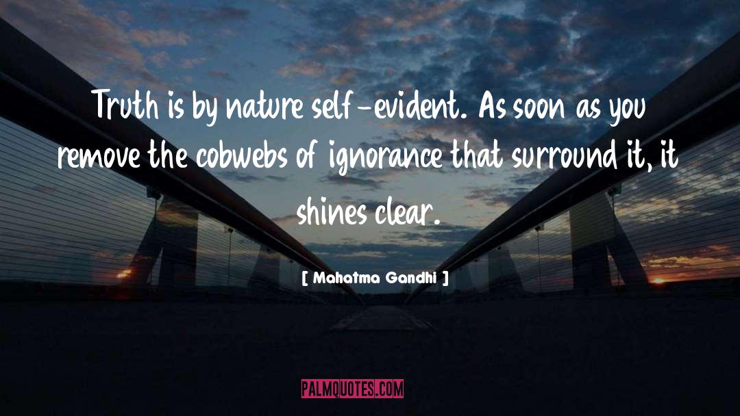 Cobwebs quotes by Mahatma Gandhi
