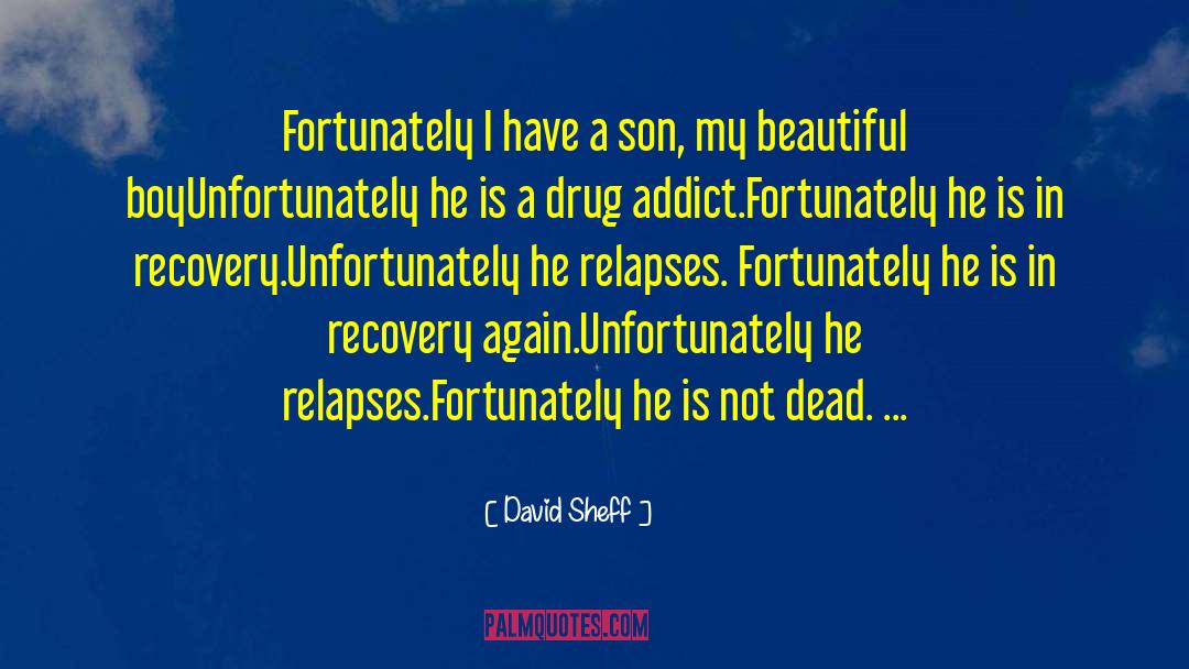 Cocaine Addiction Recovery quotes by David Sheff