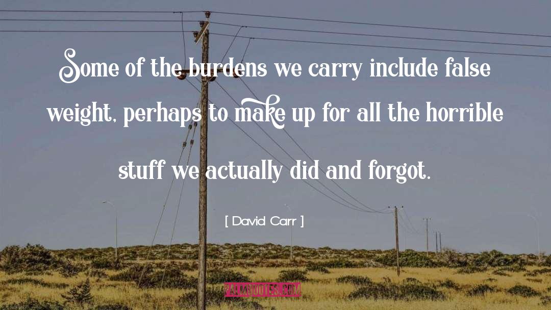 Cocaine Addiction Recovery quotes by David Carr