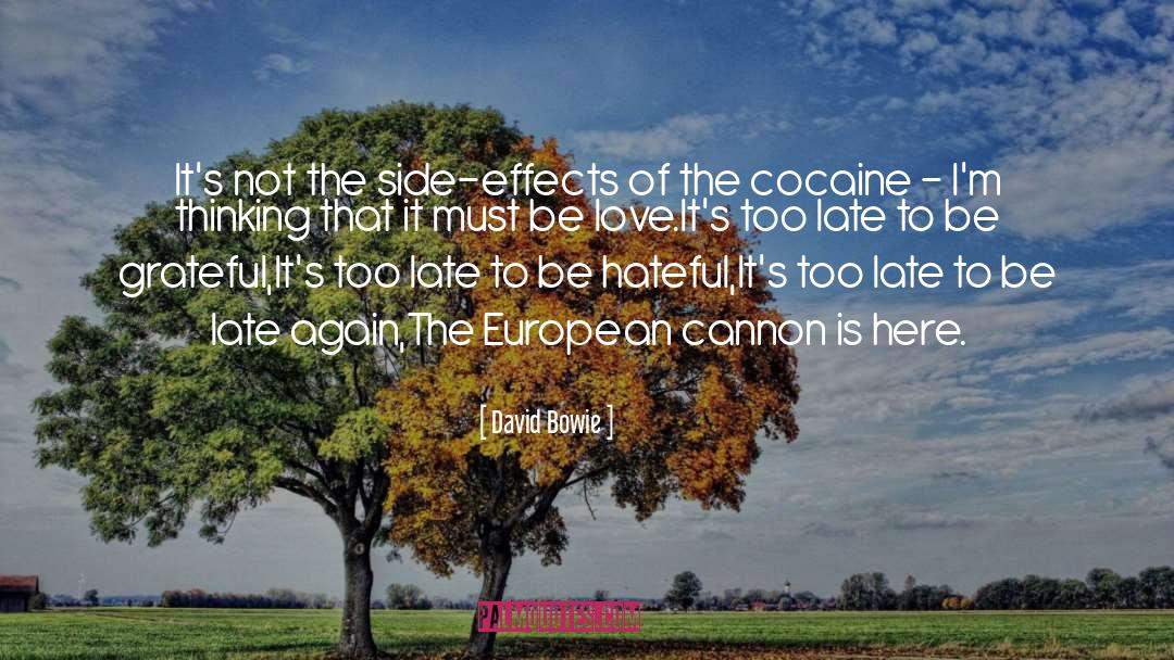 Cocaine quotes by David Bowie