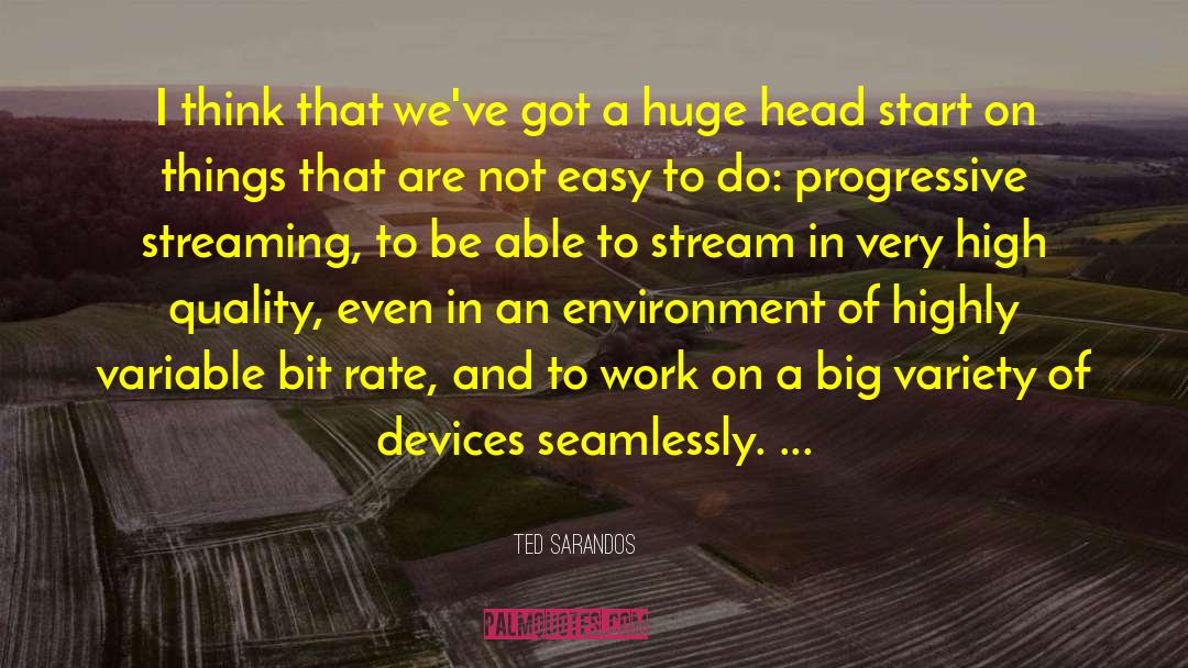 Cocking Devices quotes by Ted Sarandos