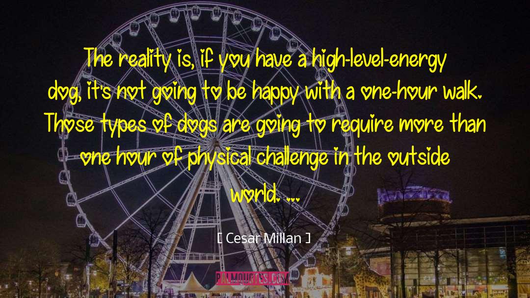 Cockneys Challenge quotes by Cesar Millan