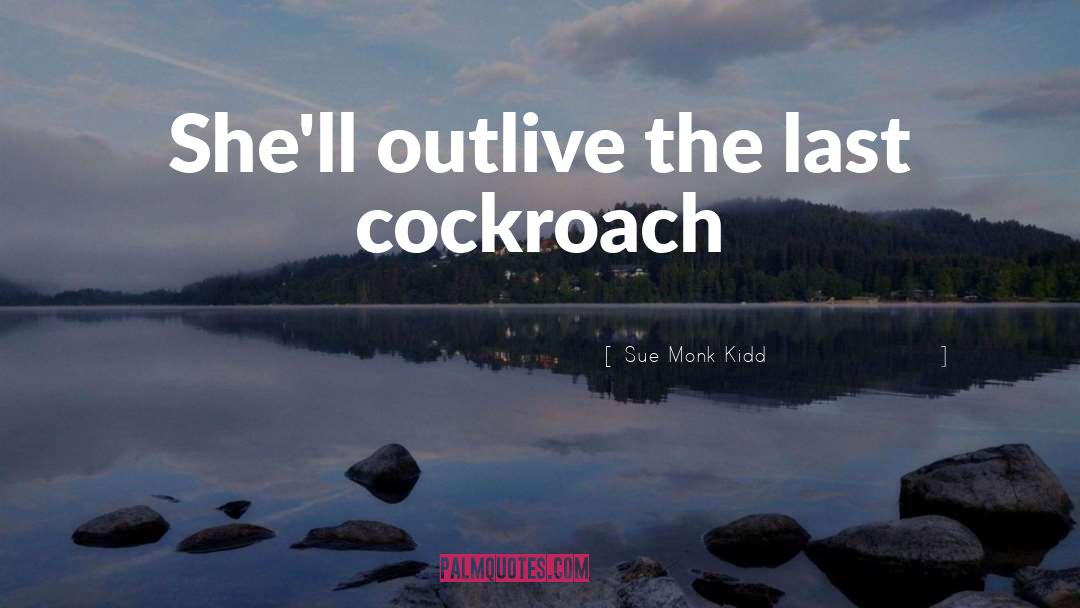 Cockroach quotes by Sue Monk Kidd