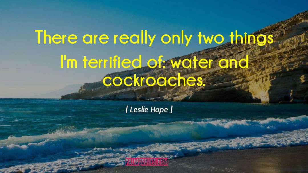 Cockroaches quotes by Leslie Hope