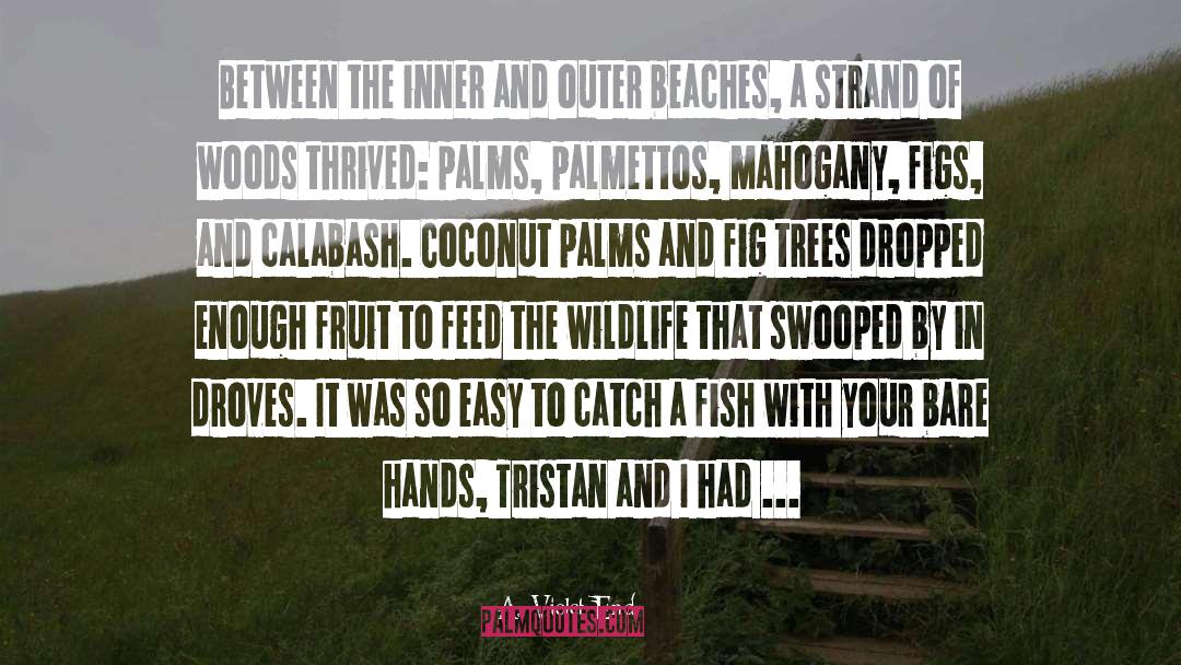 Coconut quotes by A. Violet End