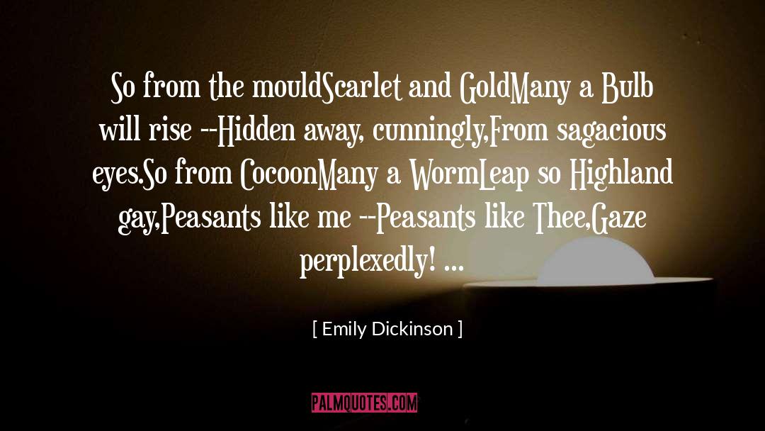 Cocoon quotes by Emily Dickinson