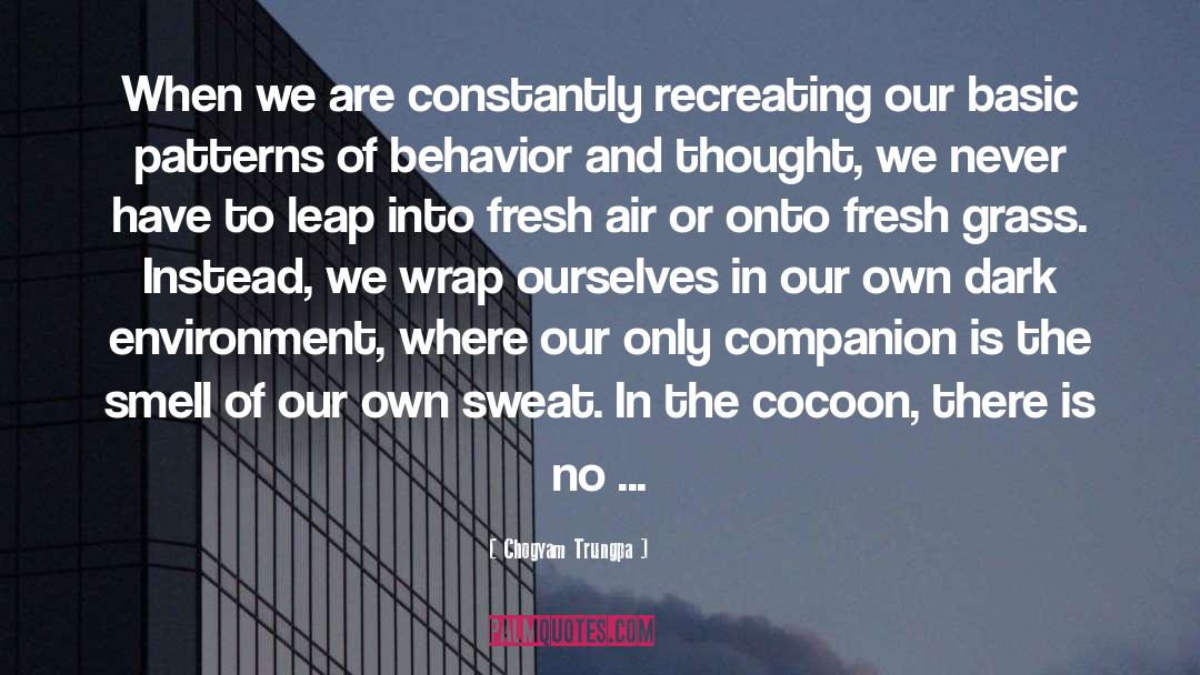 Cocoon quotes by Chogyam Trungpa