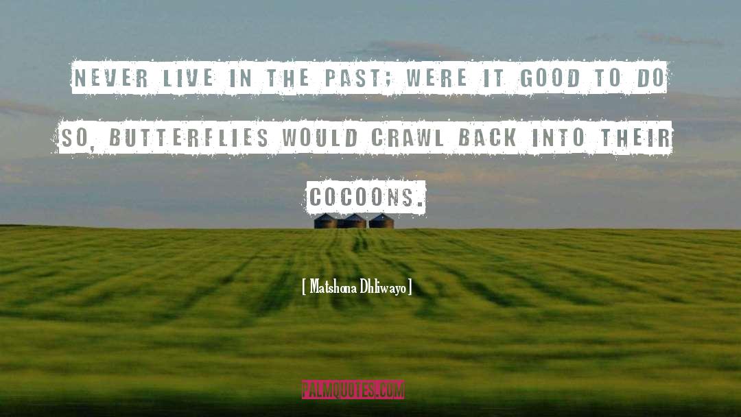 Cocoons quotes by Matshona Dhliwayo