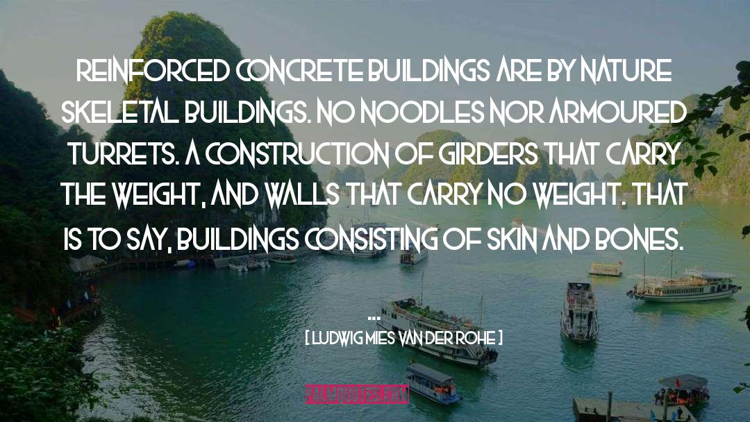 Codus Construction quotes by Ludwig Mies Van Der Rohe
