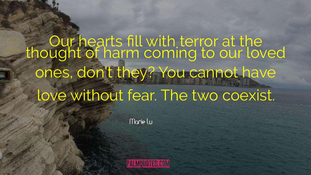Coexist quotes by Marie Lu