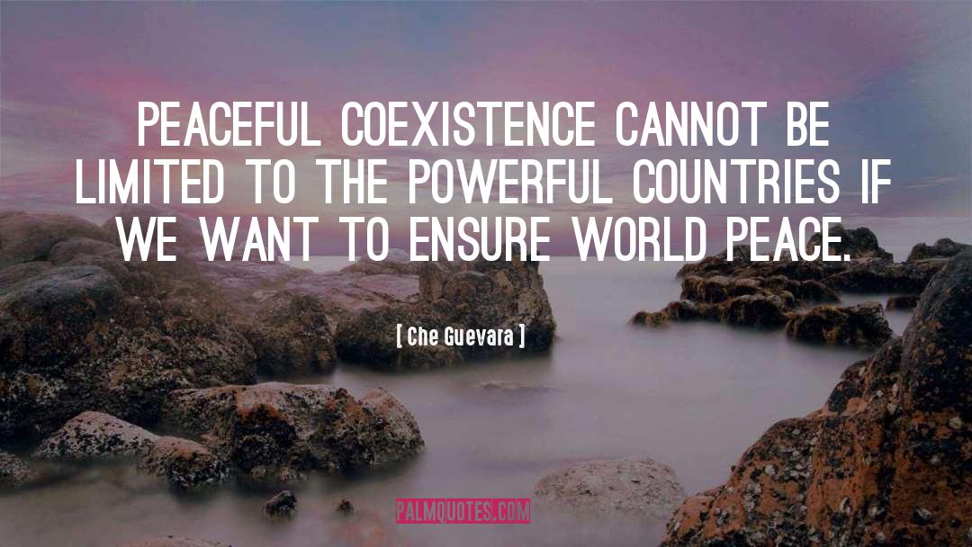 Coexistence Pacifique quotes by Che Guevara