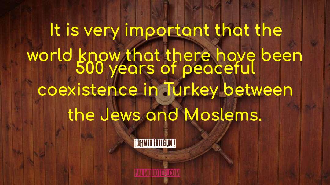 Coexistence quotes by Ahmet Ertegun