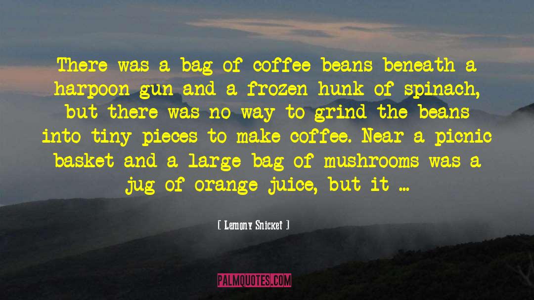 Coffee Beans quotes by Lemony Snicket