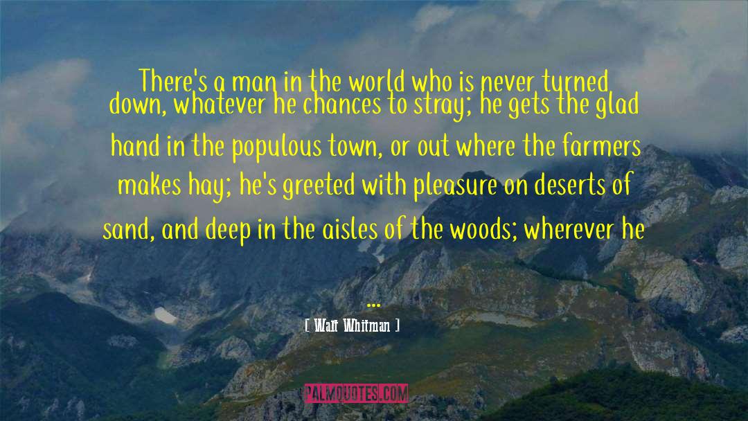 Coffee In Town quotes by Walt Whitman