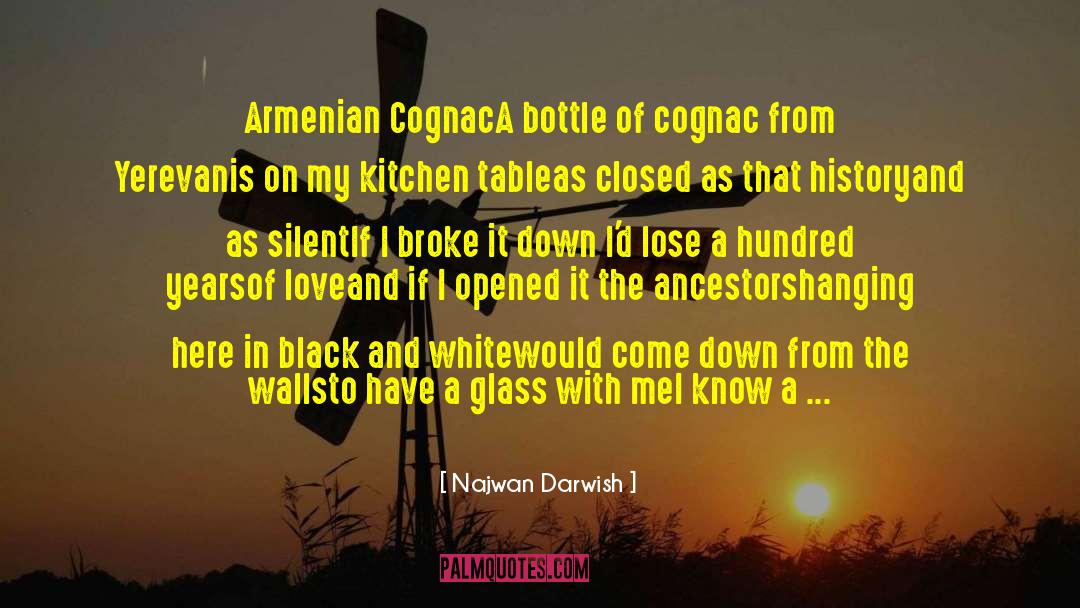 Cognac quotes by Najwan Darwish