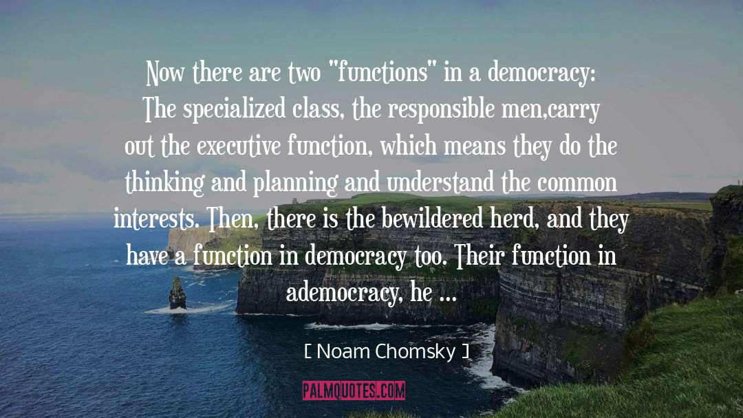 Cognitive Functioning quotes by Noam Chomsky