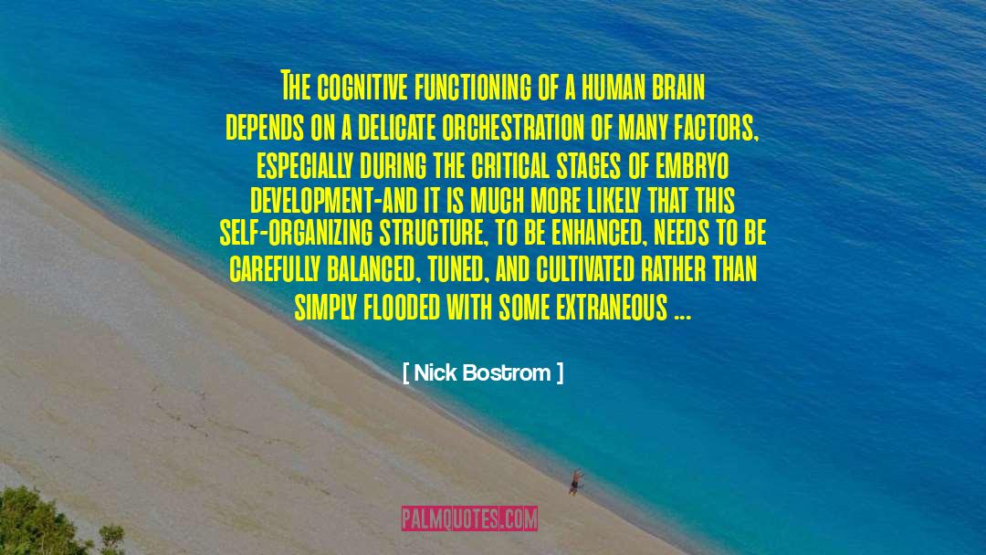 Cognitive Functioning quotes by Nick Bostrom